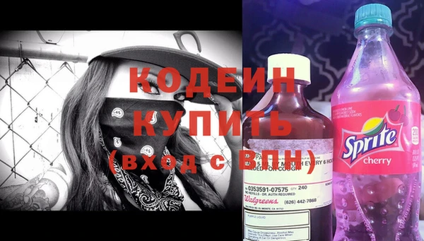 дурь Алексин