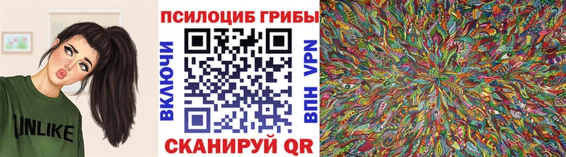 Галлюциногенные грибы MAGIC MUSHROOMS  Курганинск 