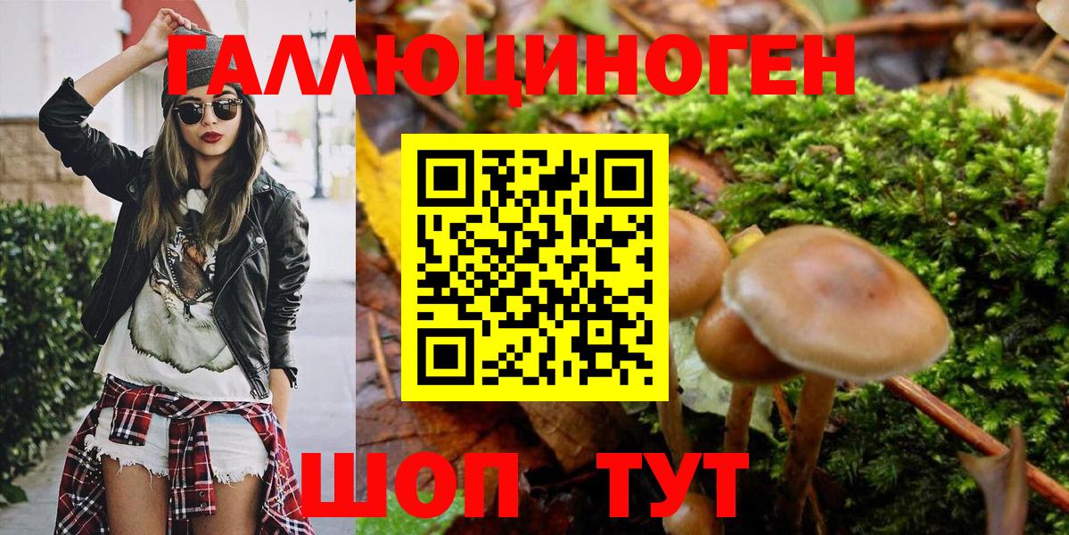 Псилоцибиновые грибы Psilocybe  Псилоцибиновые грибы Cubensis  Вход с VPN  Курганинск 