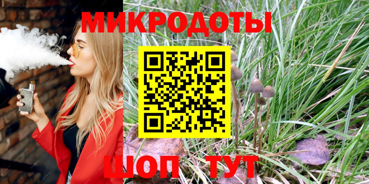 Псилоцибиновые грибы мицелий Курганинск